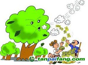 深度解析國(guó)有林場(chǎng)開發(fā)森林經(jīng)營(yíng)碳匯前景分析及有哪些相關(guān)問題的對(duì)策匯總