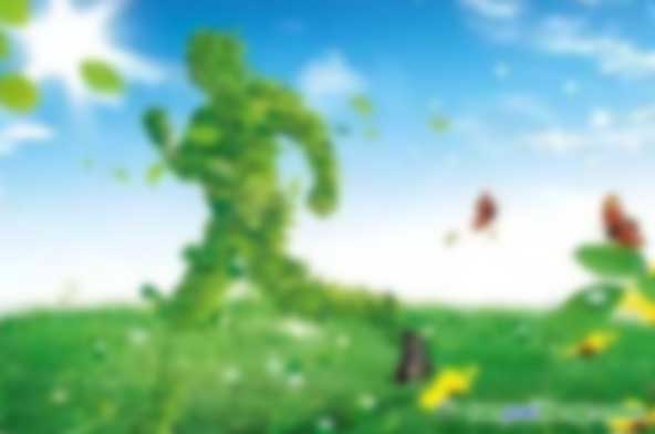 林業(yè)綠色金融：主要領域與國際經(jīng)驗