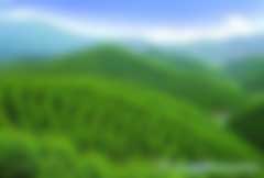 林業(yè)碳匯林補貼騙局是怎么回事兒？