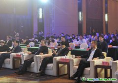 2019中國綠色城市指數(shù)TOP50發(fā)布，哪些城市是綠色標(biāo)桿？