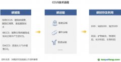2022 年中國碳捕集、利用與封存（CCUS）洞察報告