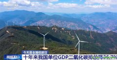 我國碳達峰、碳中和政策和行動保障體系已基本形成