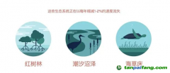 183元/噸！碳匯爆發(fā)，CCER市場(chǎng)價(jià)格的風(fēng)向標(biāo)？