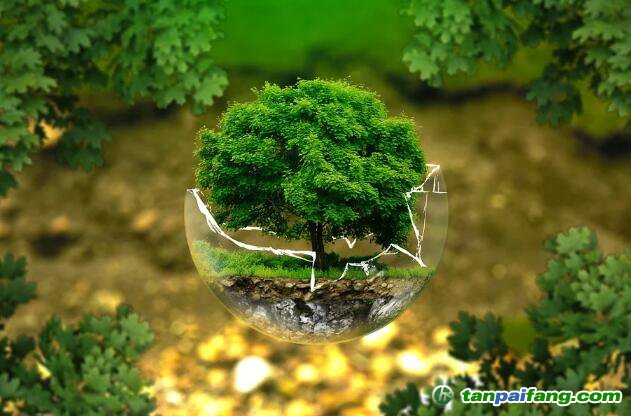 控排企業(yè)碳資產(chǎn)管理代運營：配額籌劃、合規(guī)化改造等數(shù)據(jù)優(yōu)化、碳交易金融化思維