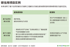企業(yè)領(lǐng)導(dǎo)者為什么必須了解碳信用額？