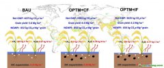 西南大學(xué)最新研究給出糧食增產(chǎn)與凈碳減排“雙贏”路徑